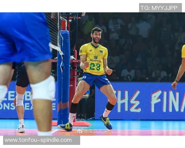 伊朗男排与巴西男排激情对决展现排球魅力与竞技精神